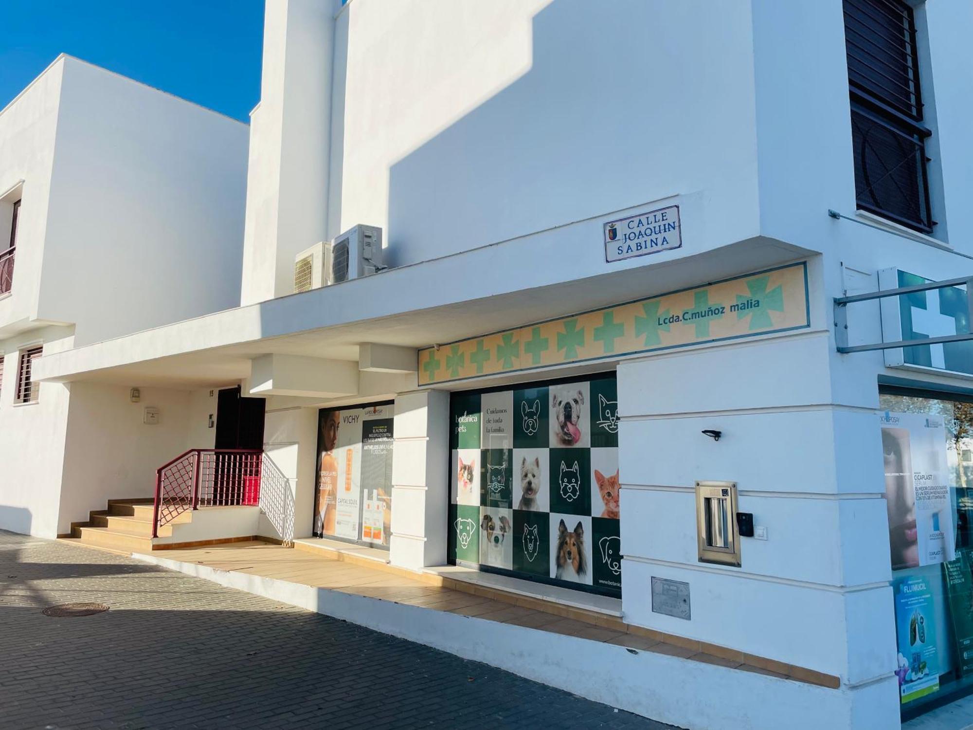 Apartmán Atico Premium Conil Con 2 Terrazas, Parking, Piscina, Aire Ac Y Wifi -Solo Familias Y Parejas- Conil De La Frontera Exteriér fotografie